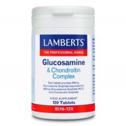Lamberts Glucosamine & Chondroitin Complex 120 Tablets
