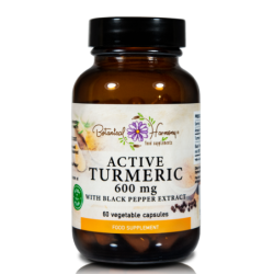 Bh Active Turmeric W Black Pepper 600mg